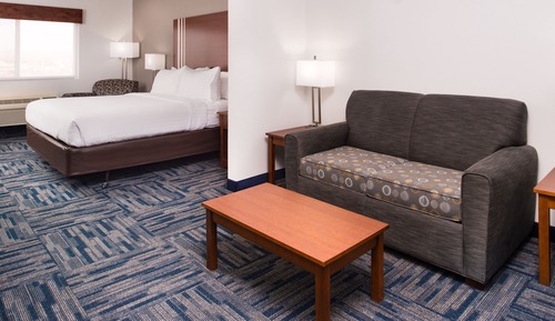 Suite, 1 King Bed with Sofa bed