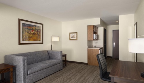 Suite, 1 King Bed, Non Smoking, Refrigerator & Microwave (with Sofabed)