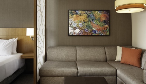 Room, 1 King Bed with Sofa bed (Specialty)