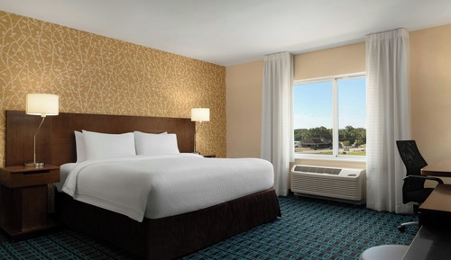 Room, 1 King Bed