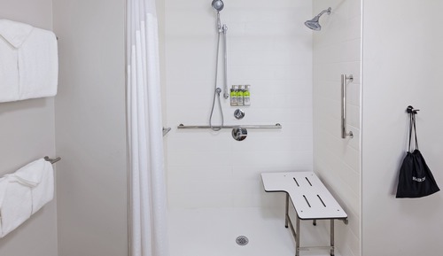 Standard Room, 1 King Bed, Accessible (Mobility Roll-In Shower)