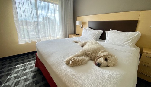 Suite, 2 Bedrooms