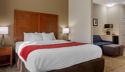 Room, 1 King Bed, Non Smoking