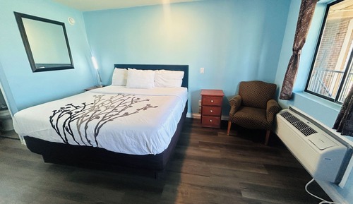 Room, 1 King Bed, Smoking