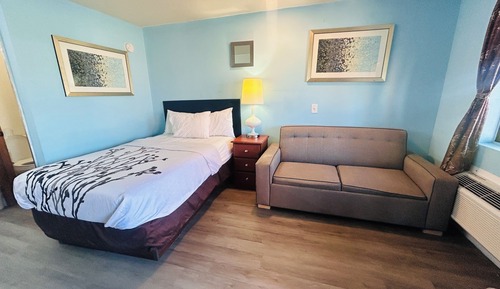 Room, 1 Queen Bed (Pull out)