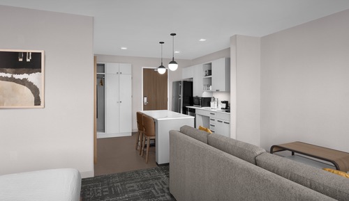 Studio, 1 King Bed, Accessible, Bathtub (Mobility & Hearing)