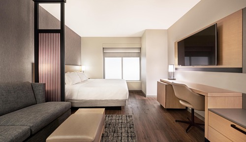 Suite, 1 King Bed with Sofa bed, Roll-in Shower