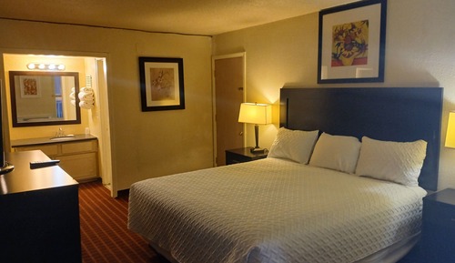 Basic Single Room