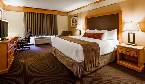 Suite, 1 King Bed, Non Smoking, Kitchenette (Shower Only;with Sofabed)
