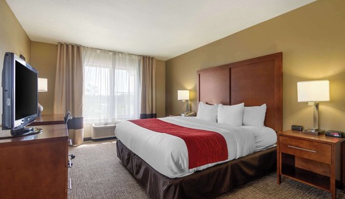 Suite, 1 King Bed, Non Smoking (Efficiency)