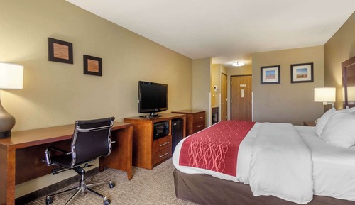 Standard Room, 1 King Bed, Non Smoking