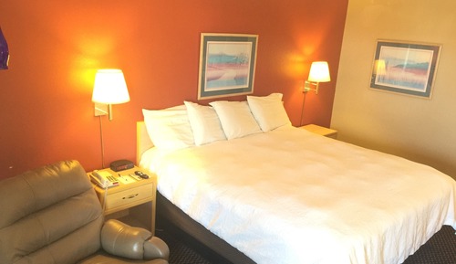 Room, 1 King Bed, Non Smoking