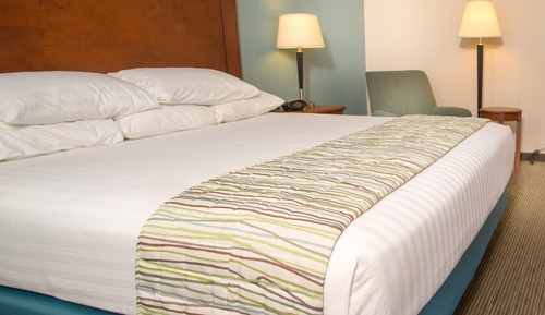 Room, 1 King Bed