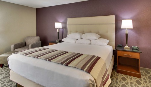 Room, 1 King Bed, Accessible (Roll in Shower)