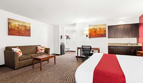 Suite, 1 King Bed, Non Smoking, Refrigerator & Microwave (with Sofabed)