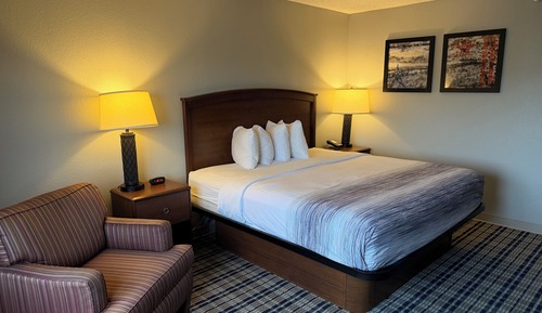 Room, 1 King Bed, Non Smoking
