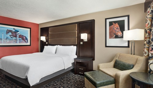 Standard Room, 1 King Bed, Accessible Bathtub, Non Smoking (Communications)