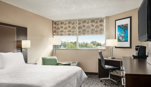 Standard Room, 1 King Bed