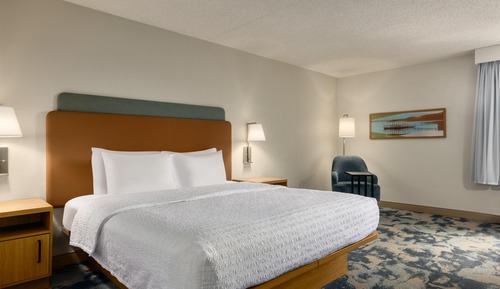 Room, 1 King Bed, Non Smoking