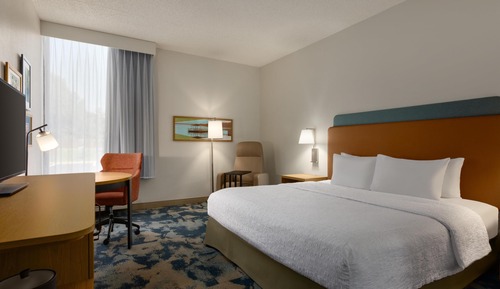 Room, 1 King Bed, Accessible, Bathtub (Mobility & Hearing)