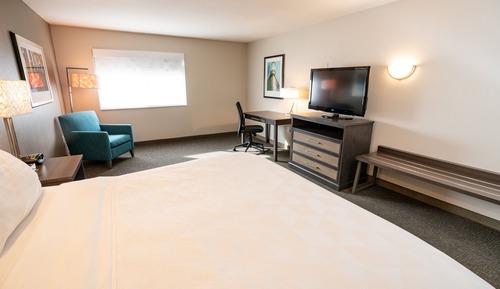 Standard Room, 1 King Bed, Accessible (Accessible Tub)