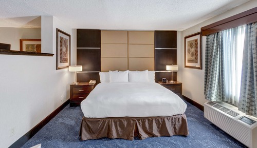 Studio Suite, 1 King Bed