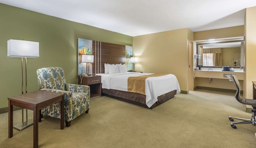 Standard Room, 1 King Bed, Non Smoking