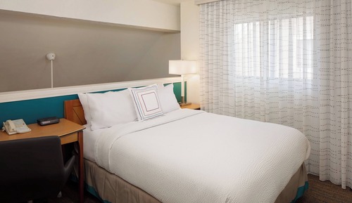 Basic Studio, 1 Queen Bed with Sofa bed (Mobility/Hearing Access, Roll-In Shwr)