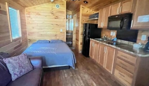 Deluxe Cabin, Multiple Beds, Pets Allowed, Courtyard View
