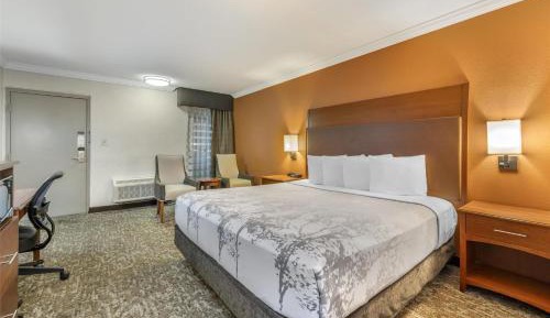 King Room - Non-Smoking