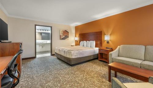 King Room with Mobility Accessible Roll-In Shower and Sofa Bed