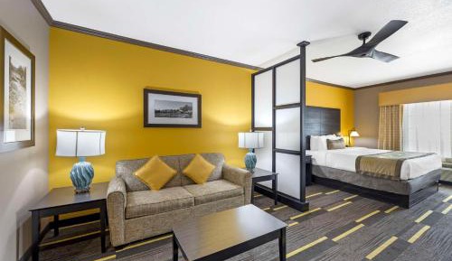 King Suite with One King Bed and Sofa Bed - Non-Smoking
