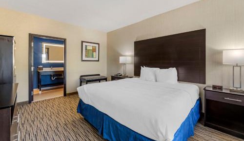 Presidential King Suite