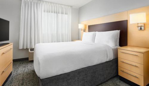 1 Bedroom Suite, 1 Queen, Sofa bed
