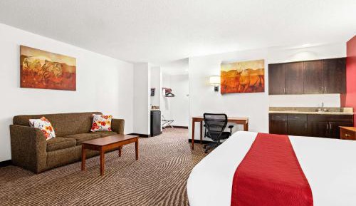 King Suite with Sofa Bed - Non-Smoking