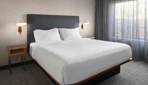 One-Bedroom King Suite with Sofa Bed
