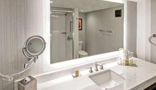 Junior King Suite with Sofa Bed