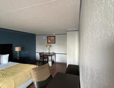 Budget Single Room