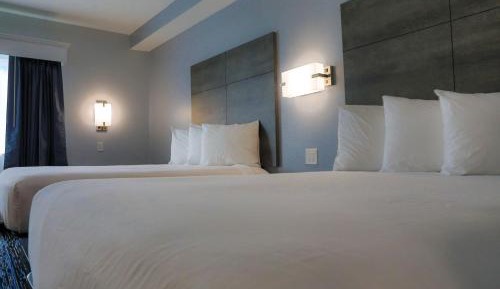 Queen Suite