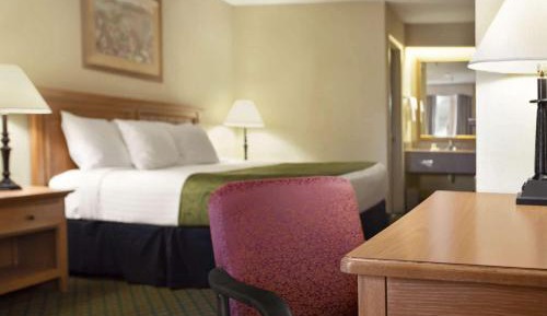 Business King Room