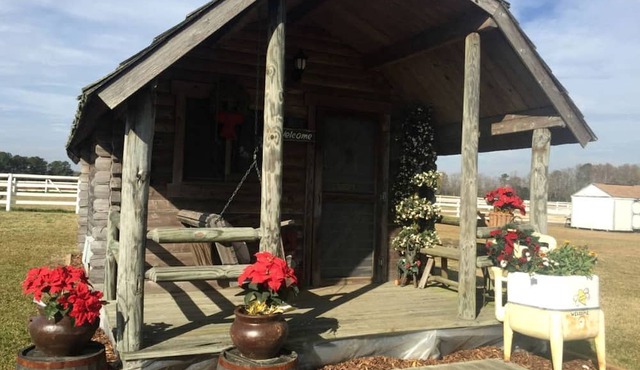 Rustic Cabin Rental on Secluded Farmland near Raleigh, North Carolina